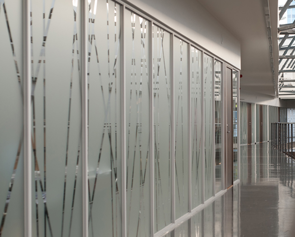 Frosted glass office partition with GlassLock graphic design film providing privacy while maintaining light